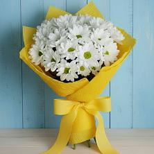 Букет цветов из:  Хризантемы в Великих Луках