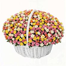 Премиум букет из: Розы в Великих Луках