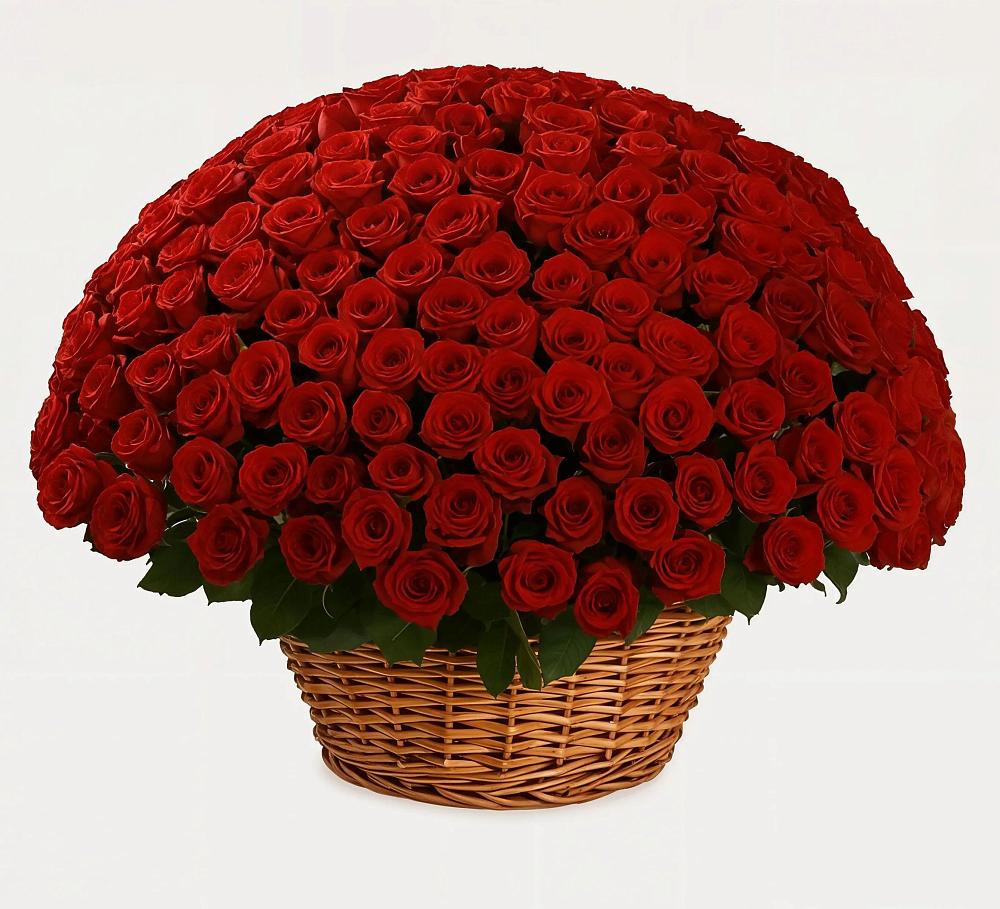 Премиум букет из: Розы в Великих Луках