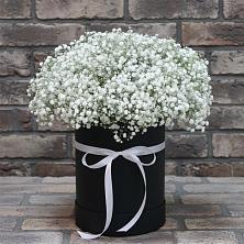 Цветочная композиция из Гипсофила в шляпной коробке в Великих Луках