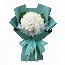 Букет цветов из:  Гортензия в Великих Луках